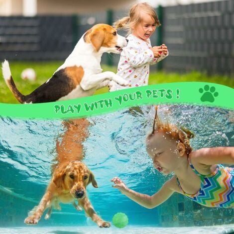 Balle Intelligente Interactive pour Chiens & Chats