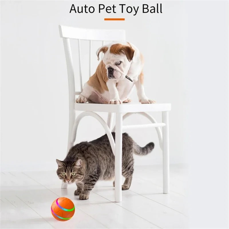 Balle Intelligente Interactive pour Chiens & Chats