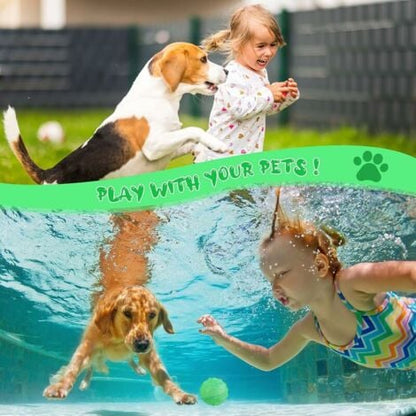 Balle Intelligente Interactive pour Chiens & Chats